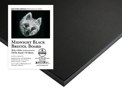 Bee Paper Aquabee Black Bristol Paper Sheet 130lb 20x26 – Nevada Fine Arts