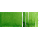 Daniel Smith Watercolor Hooker’s Green