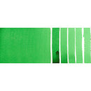 Daniel Smith Watercolor Phthalo Green (Yellow Shade)