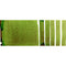 Daniel Smith Watercolor Green Apatite Genuine