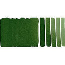 Daniel Smith Extra Fine Watercolor Chromium Oxide Green 15ml - Nevada Fine Arts