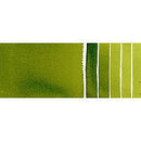 Daniel Smith Extra Fine Watercolor Paint Sap Green 15ml - Nevada Fine Arts
