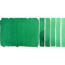 Daniel Smith Extra Fine Watercolor Permanent Green 15ml - Nevada Fine Arts