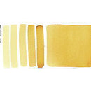 Daniel Smith Extra Fine Watercolor Raw Sienna Light 15ml - Nevada Fine Arts