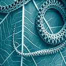 Jacquard SolarFast Dye Teal 4oz - Nevada Fine Arts