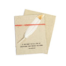 Feather Cards - Assorted
