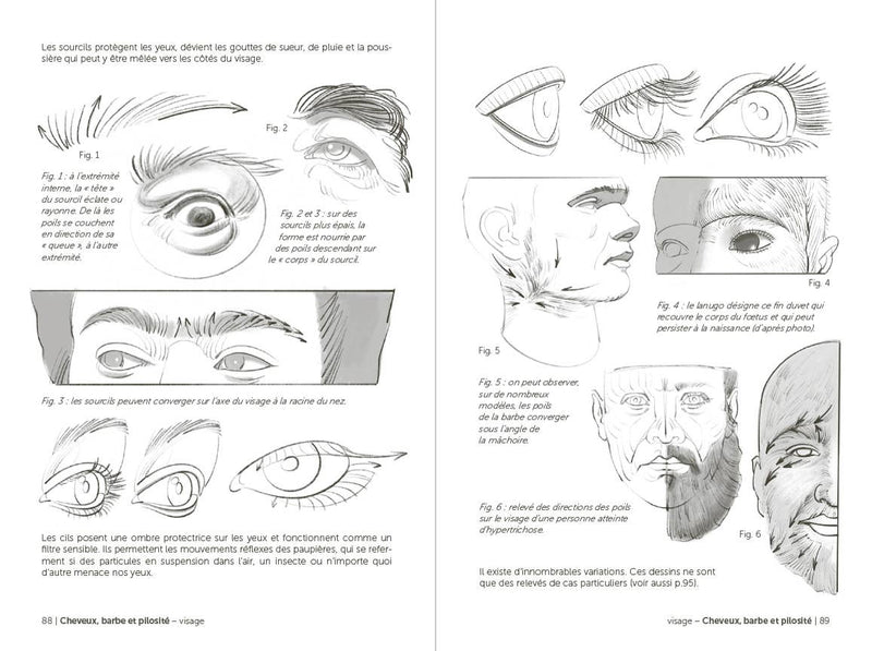 Morpho: Face, Head, And Neck: Print