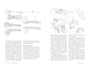 Morpho: Hands And Feet: Print