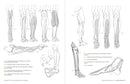 Morpho: Anthology of Artistic Anatomy