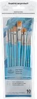 Zip N' Close Gold Taklon Shader / Detail 10PC Set