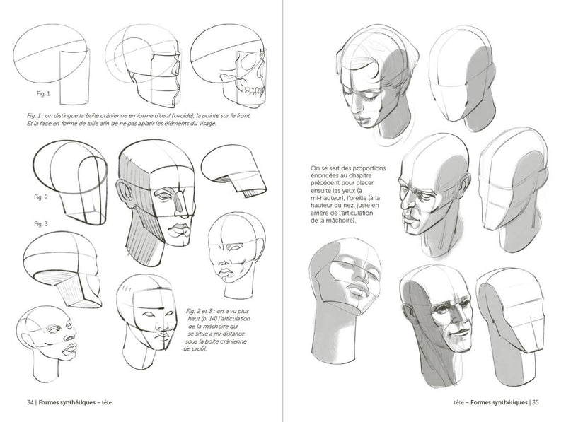 Morpho: Face, Head, And Neck: Print