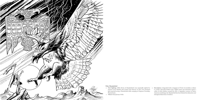 Cryptid Creatures Coloring Book
