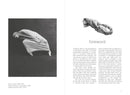 Morpho: Clothing Folds And Creases: Print