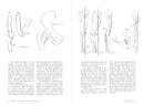 Morpho: Joint Forms And Muscular Functions: Print