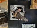 4X4 Art Show Pieces (5)