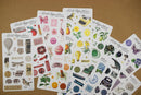 Bookish Browns Sticker Sheet (26-008) - RETRO RAINBOW COLLECTION