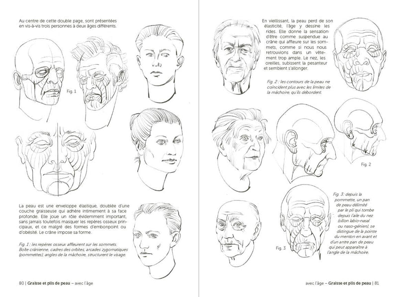 Morpho: Face, Head, And Neck: Print