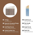 Professional Fine Round Tip Detail Paint Brushes for Model & Craft, Miniature, Watercolor: 10 Pcs