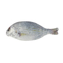 Wrapables Novelty Fish Style Pencil Case: Red