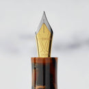True Writer Classic Golden Dark Tortoise Fountain Pen: Medium