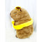 Cute Capybara Plush Toys: BROWN / ONE(1)