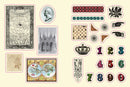 Cabinet of Curiosities by Smithsonian Institution