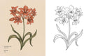 Floriography Coloring Book by Jessica Roux