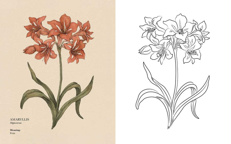Floriography Coloring Book by Jessica Roux