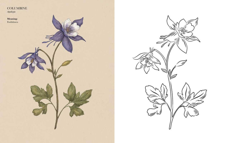 Floriography Coloring Book by Jessica Roux