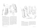 Morpho: Hands And Feet: Print