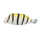 Wrapables Novelty Fish Style Pencil Case: Red
