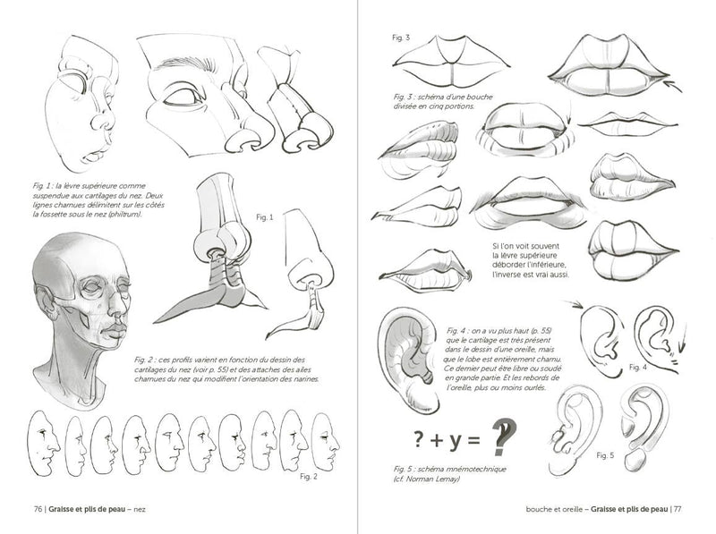 Morpho: Face, Head, And Neck: Print