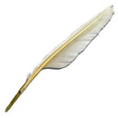 Uncut Hardened-cured Goose Quill