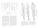 Morpho: Joint Forms And Muscular Functions: Print