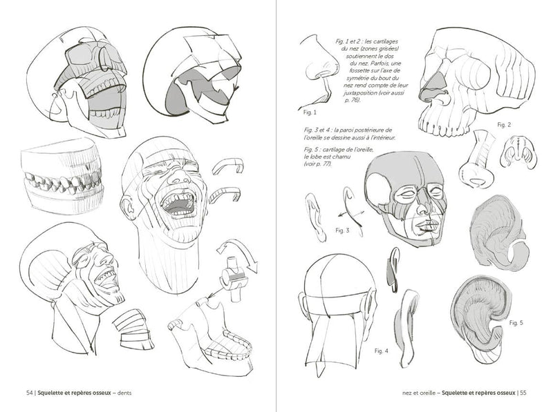 Morpho: Face, Head, And Neck: Print