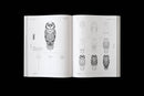 How to Draw Animals, a Step by Step Guide for Beginners