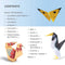 Origami Butterflies, Birds & Bees by Mari Ono