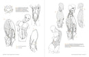 Morpho: Anthology of Artistic Anatomy