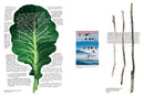 100 New York Calligraphers