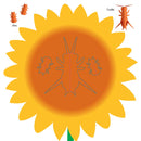 Insects: Fold & Play