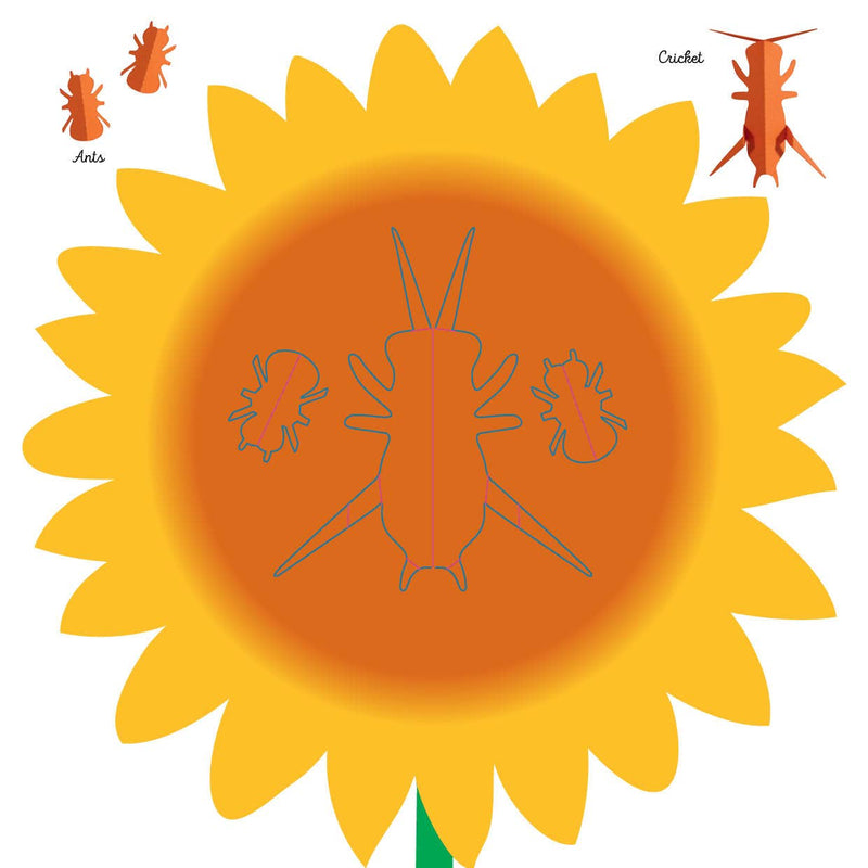 Insects: Fold & Play