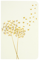 Jotter Mini Notebook Set: Dandelion Wishes