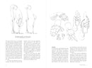 Morpho: Hands And Feet: Print