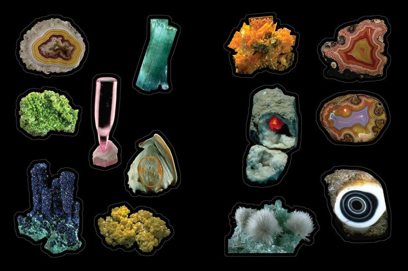 Cabinet of Curiosities by Smithsonian Institution