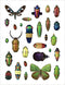 Christopher Marley's Incredible Insects Sticker Book