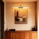 Easy Install LED Picture Wall Light: 1-Pack