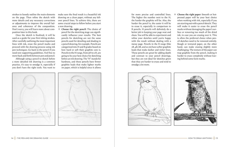 The Pen And Ink Drawing Guide: Print