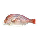 Wrapables Novelty Fish Style Pencil Case: White