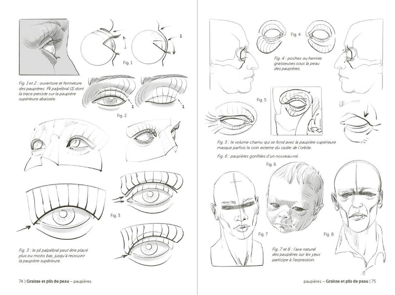 Morpho: Face, Head, And Neck: Print