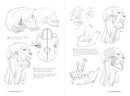 Morpho: Joint Forms And Muscular Functions: Print